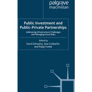 Public Investment and Public-Private Partnerships