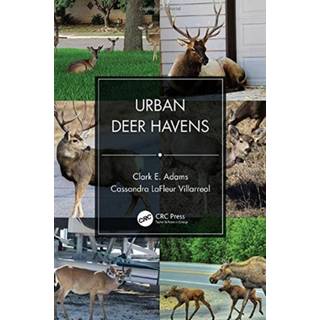 Urban Deer Havens
