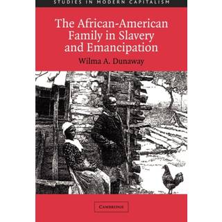 The African-American Family in Slavery and Emancipation