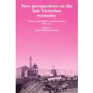 New Perspectives on the Late Victorian Economy