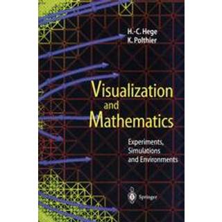 Visualization and Mathematics