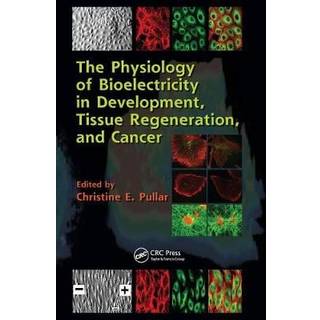The Physiology of Bioelectricity in Development, Tissue Regeneration and Cancer