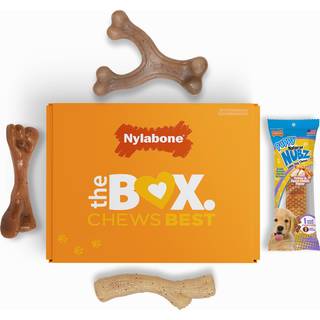 Nylabone Puppy Gift Box inkluderer 3 stærke tyggelegetøj og 1 naturlige hundebehandlingsgaver til hvalpe små - op til 25 lbs 4 pakke