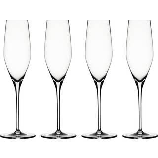 Authentis Champagneglas 19 cl. 4-pak