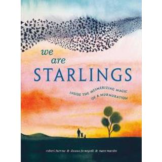 We Are Starlings