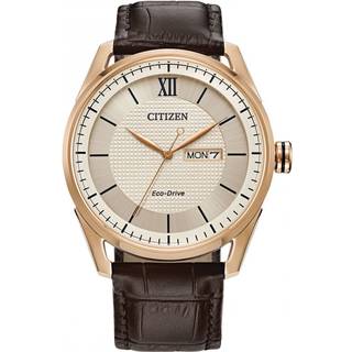Citizen AW0082-01A Rose Gold Tone Eco-Drive Brown Leather Strap Watch - W38243