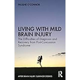 Living with Mild Brain Injury