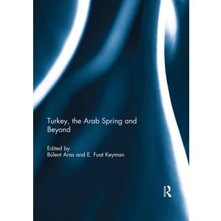 Turkey, the Arab Spring and Beyond