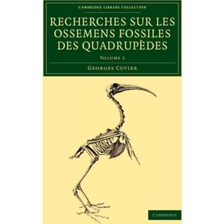 Recherches sur les ossemens fossiles des quadrupedes