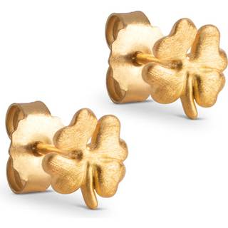 Enamel Copenhagen Øreringe - Studs Organic Clover - Gold Colour
