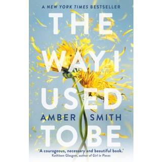 Amber Smith - The Way I Used to Be - B-format PB