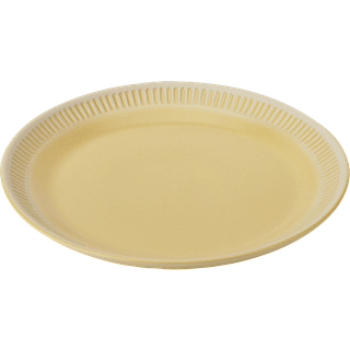 Colorit frokosttallerken Ø 22 cm