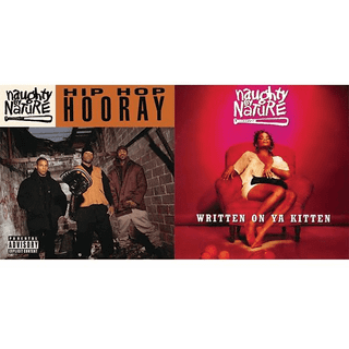 Naughty By Nature - Hip Hop Hooray / Written on Ya Kitten