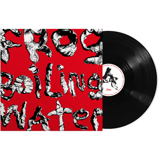 Diiv - Frog In Boiling Water (LP)