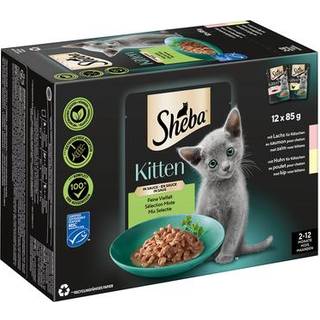 Sheba Kitten fint udvalg i sauce fint udvalg med laks og kylling 66.62 DKK/1 kg