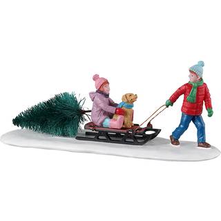 Bringing Home Our Tree