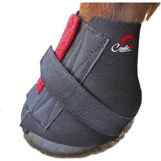 Pastern Wraps Cavallo Sort
