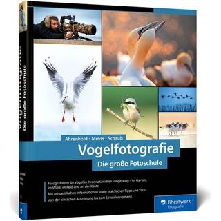 Buch Bird photography by Alexander Ahrenhold