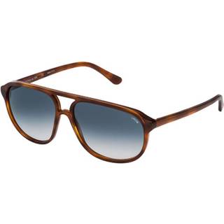 Lozza Mand SL1827L ZILO SPORT 711L Solbriller Acetat Havana Blå Pilot Normal Skygge