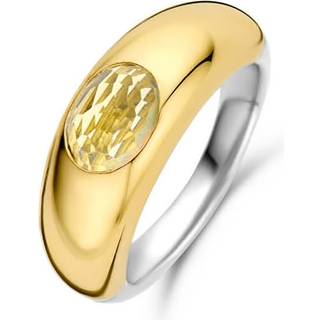 Ti Sento 12173TY Damen-Bandring Silber vergoldet