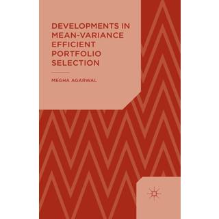 Developments in Mean-Variance Efficient Portfolio Selection