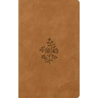 ESV Vest Pocket New Testament with Psalms and Proverbs, Red Letter