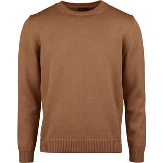 Stenströms Beige Kraftig merinould med rund hals | Herre |Strik & Trøjer | Størrelse: L | Beige | Solid | Lange Ærmer