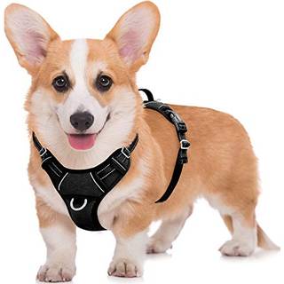 Barkbay No Pull Dog Harness stort skridt i reflekterende hundesele med frontklip og let kontrolhåndtag til gåtræning, der kører med ID Tag Pocket