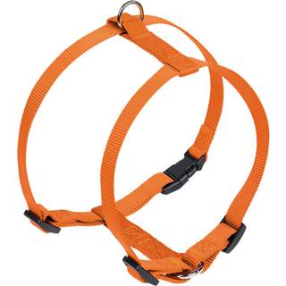 Sele Classic, L-XL, Orange