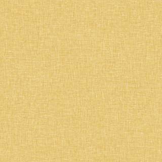 Fantasia Second Edition - 900676
