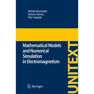 Mathematical Models and Numerical Simulation in Electromagnetism
