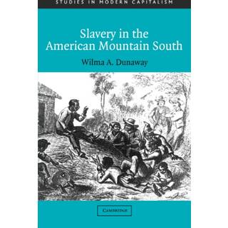 Slavery in the American Mountain South