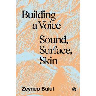 Building a Voice