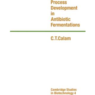 Process Development in Antibiotic Fermentations