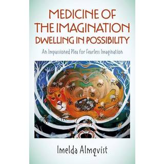 Medicine of the Imagination: Dwelling in Possibility