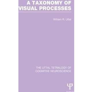 A Taxonomy of Visual Processes