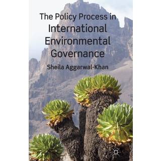 The Policy Process in International Environmental Governance