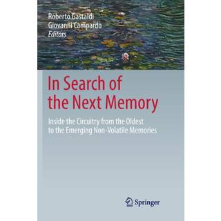 In Search of the Next Memory