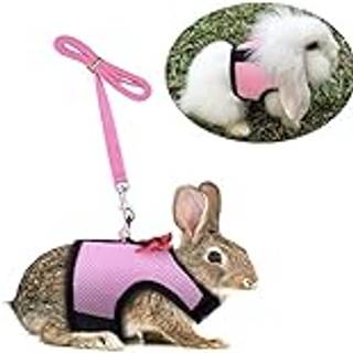 Hypety Rabbit Bunny Harness and Leash Set No Pull Cat Leash Stilish Vest Harness til Small Animal Justerable Soft Breathable Walking Harness Set
