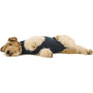 Post-op kropsstrømpe Medical PetShirt Hundbody Blå 2XS