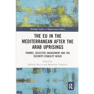 The EU in the Mediterranean after the Arab Uprisings