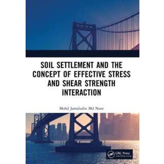 Soil Settlement and the Concept of Effective Stress and Shear Strength Interaction