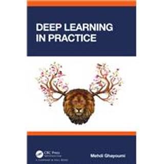 Deep Learning in Practice