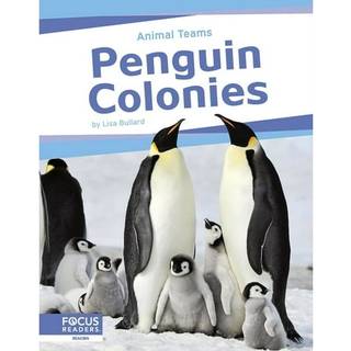 Penguin Colonies