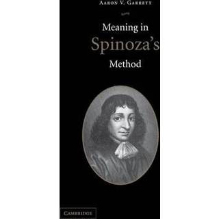 Meaning in Spinoza's Method