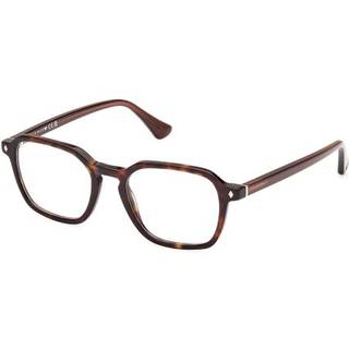Web Mand WE5428 56 Optiske stel Acetat Havana Geometrisk Normal