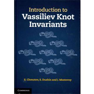 Introduction to Vassiliev Knot Invariants