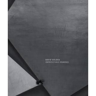 David Goldes: Unpredictable Drawings