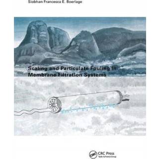 Scaling and Particulate Fouling in Membrane Filtration Systems