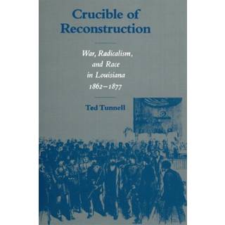 Crucible of Reconstruction